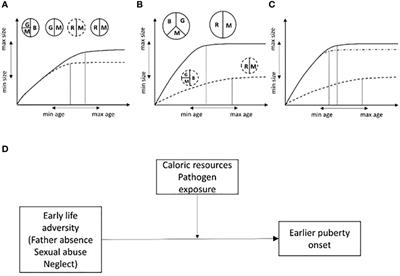 Precocious puberty under stressful conditions: new understanding and insights from the lessons learnt from international adoptions and the COVID-19 pandemic